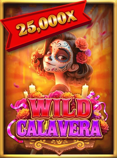 pv777